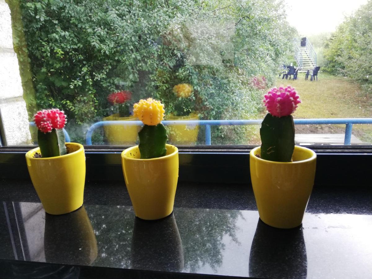 Durbuy-Cosy Appartement 2 エクステリア 写真